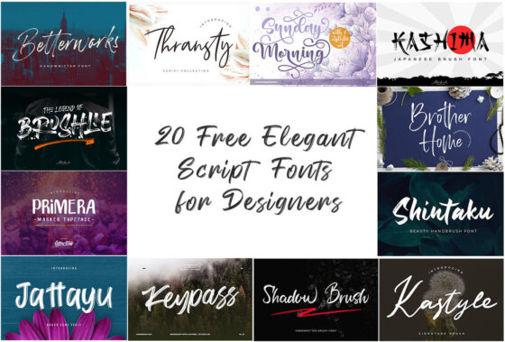 20 Free Elegant Script Fonts for Designers (Stylish Fonts For 2024)