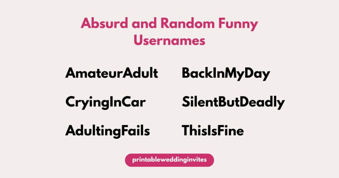 Text on a light background titled "Absurd and Random Funny Usernames" lists humorous usernames: AmateurAdult, CryingInCar, AdultingFails, BackInMyDay, SilentButDeadly, ThisIsFine.