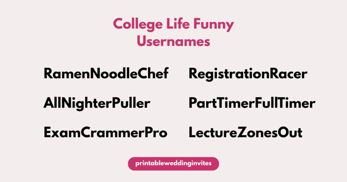 "Image with the title 'College Life Funny Usernames' in pink text. Lists humorous usernames like RamenNoodleChef and ExamCrammerPro, conveying a playful tone."